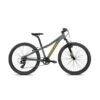 Bicicletta MTB Coluer Ascent 241 Verde Opaco