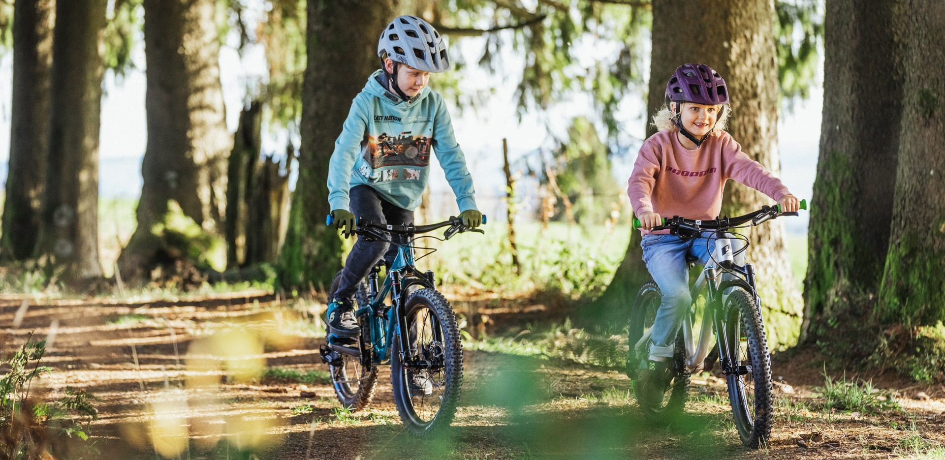 Bicicletta Negozio -Bicicletta Negozio 2